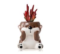 DIYOMR Mini pot de fleurs en céramique en forme d'animal de dessin animé pour plantes succulentes d'intérieur - Lisse et brillant - Plantes non incluses (loutre)