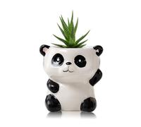 DIYOMR Mini pot de fleurs en céramique en forme d'animal de dessin animé pour plantes succulentes d'intérieur - Pot de fleurs d'intérieur lisse et brillant - Plantes non incluses (panda)