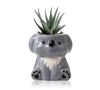 DIYOMR Mini pot de fleurs en céramique en forme d'animal de dessin animé pour plantes succulentes d'intérieur - Pot de fleurs décoratif lisse et brillant - Plantes non incluses (koala)