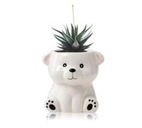 DIYOMR Mini pot de fleurs en céramique en forme d'animal de dessin animé pour plantes succulentes d'intérieur - Lisse et brillant - Plantes non incluses (ours blanc)