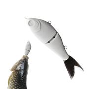 DIYs Corps de Leurre de Pêche - 2 Pièces Leurres Blancs à Queue Souple Appât Dur | Accessoires de Pêche Peintures pour Bar Loup Truite Eau Douce Eau Salée Kit de Loisirs Créatifs