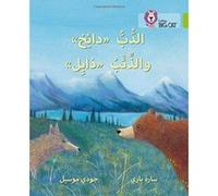 Dizzy the Bear and Wilt the Wolf: Level 11 (Collins Big Cat Arabic Readers) - [Version Originale] Inconnu (Auteur)