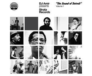 DJ Amir Presents: Strata Records - the Sound of Detroit Volume 1