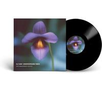 DJ Cam Underground Vibes (30th Anniversary Edition) (Vinyl) 12" Album