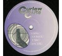 DJ Hurliman - All Shook Up