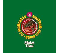 DJ Marcelle – Psalm Tree – Vinyle (Analog)