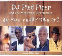 DJ Pied Piper - Do You Really Like It