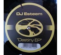 DJ Pulse and the Jaz - Destiny (Deleted) [Vinyl Maxi-Single]