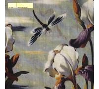 DJ Rush - Shall We Dance [Import]