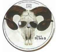 Dj Seb B - Dj Seb B - Scarnation
