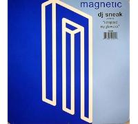 DJ Sneak - I Dropped My Gold [Import]