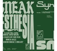 DJ Sneak - Synesthesia