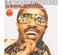 DJ Spinna & Bobbito - The Wonder Of Stevie