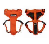 DJANGO Adventure Harnais pour Chien - Confortable, Durable et réfléchissant en néoprène pour Les Aventures en Plein air et Le Quotidien - Design réglable avec matériel en Laiton Massif (Taille S,