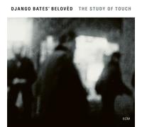 DJANGO BELOVED BATES - THE STUDY OF TOUCH CD NEUF
