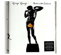 Django Django - Born Under Saturn