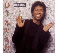 Djavan - Bird of Paradise