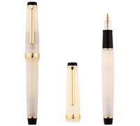 DJDLFA Stylo plume poli à la main avec pointe modifiée Little Prince pour pratique de la calligraphie (A)