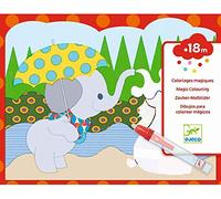DJECO Couleur Magique cachée à l'extérieur (39065), Multicolore (1)