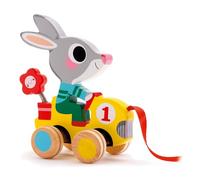 Djeco - Jouets à Tirer, Couleur Mixte (DJE-353)