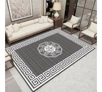 DJHWWD Tapis Salle A Manger Antidérapant Gris Clair 150x210CM,Style Chinois pour Salon,Salle A Manger,Sol