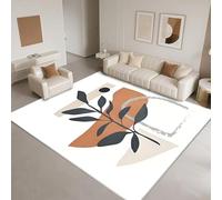 DJHWWD Tapis Salon Poil Ras Antiderapant 90x130cm,Art Abstrait pour Chaise De Bureau,Chambre Bebe Fille,Parc Blanc