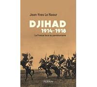 Djihad 14-18: La France face au panislamisme