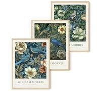 Djmwtb William Morris - Lot de 3 affiches murales vintage d'oiseaux botaniques, images esthétiques, galerie d'art, peinture sur toile pour salon, chambre à coucher, bureau, 40,6 x 61 cm, sans cadre