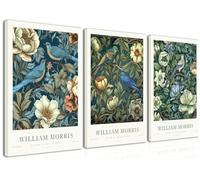 Djmwtb William Morris - Lot de 3 impressions sur toile vintage encadrées d'oiseaux botaniques - Images esthétiques - Peinture d'art pour salon, chambre à coucher, bureau - 30,5 x 40,6 cm