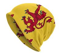 DJNGN Ecosse Scottish Rampant Lion Adulte Unisexe Tricot Chapeau Couverture Bonnet Bonnet Chaud Cagoule