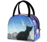 DJNGN Fantastique merveilleux ciel noir chat sac fourre-tout réutilisable avec poche avant isotherme sac isotherme pour la rentrée scolaire travail pique-nique voyage pêche plage