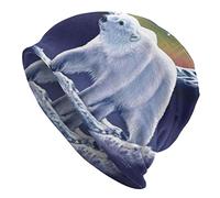 DJNGN Northern Lights Polar Bear Bonnets Chapeau Casual Hedging Cap Adulte Bonnet en Tricot pour Hommes Femmes