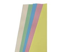 DJP Lot de 100 feuilles de papier de couleur pastel A4 80 g/m² pour imprimante, photocopieur, loisirs créatifs, scrapbooking