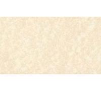 DJP Lot de 50 feuilles de papier parchemin pour certificat A3 90 g/m²