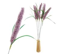 DJSKLDF Canne a Peche Chat Cat Teaser Toy Lavender Interactive Kitten Playing Stick Scratch Rope Toys Accessories