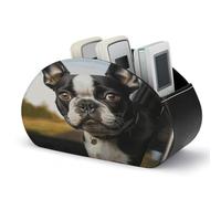 DJUETRUI Support de télécommande Boston Terrier en cuir synthétique avec 5 compartiments pour télécommandes TV, contrôleurs multimédias, fournitures de bureau