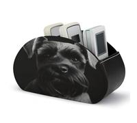 DJUETRUI Support de télécommande en cuir synthétique noir avec 5 compartiments pour télécommandes TV, contrôleurs multimédias, fournitures de bureau