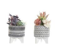 DKD Home Decor Cactus Plante Décorative Résine Polyéthylène 11 x 11 x 21 cm (2 pièces) (Référence S3020236)