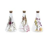 DKD Home Decor Figurine décorative, Standard