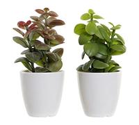 DKD Home Decor Plante décorative Orange Vert Grès Polypropylène (PP) (9,8 x 8 x 18 cm) (2 Pièces) (Référence : S3014237)