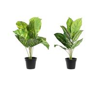 DKD Home Decor Plante Décorative, Standard