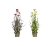 DKD Home Decor Plante Décorative, Standard