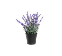 DKD Home Decor Plante Décorative, Standard