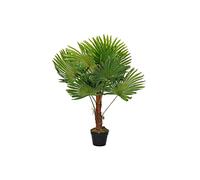 DKD Home Decor Plante Décorative, Standard