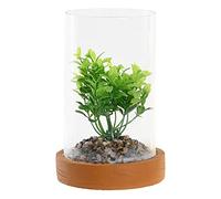 DKD Home Decor Plante Décorative, Standard