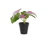 DKD Home Decor Plante décorative verte et rose en polyéthylène (10 x 10 x 22 cm)