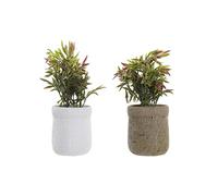 DKD Home Decor Plante d'Ornement, Standard