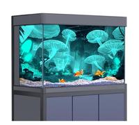 DKJAHSEK Autocollant de Fond d'aquarium, Affiche décorative, Aquarium, Habitat for Reptiles(60x40cm)