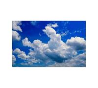 DKJAHSEK Autocollant de Fond d'aquarium, décorations en PVC, Accessoires Forme Nuage(Color1,50x90cm)