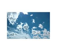 DKJAHSEK Autocollant de Fond d'aquarium, décorations en PVC, Accessoires Forme Nuage(Color3,40x80cm)